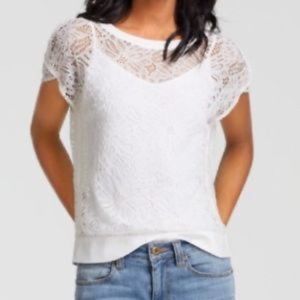 CAbi NWT Lace Top (5342)